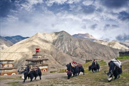 Trek nell’Alto Dolpo
