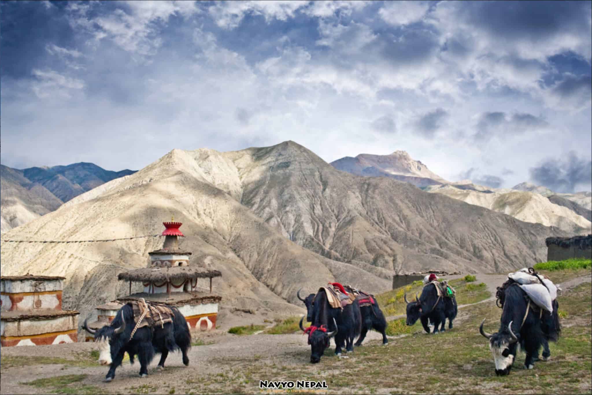 Trek nel Alto Dolpo